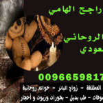 جلب الحبيب مضمون السعوديه*